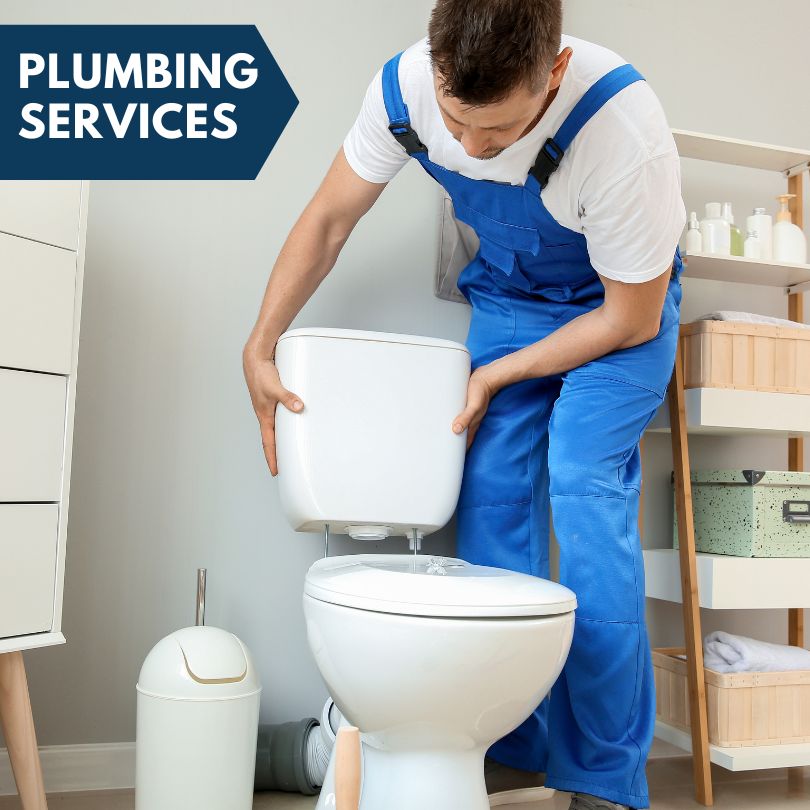 Plumbing Company in Glenbrook, NV